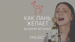 Как Лань Желает - Валерия Величко | Acoustic | #ЦерковьБожияMusic