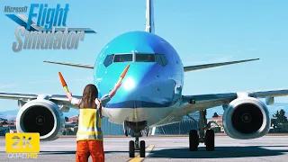 Perfect KLM landing into stunning Naples | KLM B738 | Microsoft Flight Simulator 2020