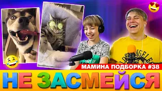 ГОЛЫЙ ПОПУГАЙ и НЕВЕЗУЧАЯ СОБАКА! 😂 // НЕ ЗАСМЕЙСЯ ЧЕЛЛЕНДЖ // Мамина подборка #38