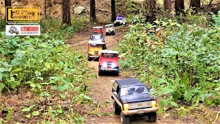 RC Car Team Scale Trail - Forest Rock Crawling Highlight - (TRX4, SCX10 II, RC4WD FJ40, BRX02, Capo)