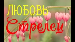 СТРЕЛЕЦ. ЛЮБОВЬ. АПРЕЛЬ 2019.