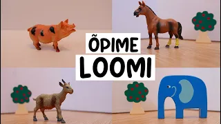 LOOMAD | Õpime loomi (eesti keeles) | AnnuTannu