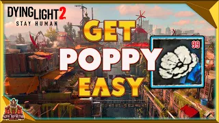 Dying Light 2 - Why You Should Be Using This Vendor - Best Place To Get Poppys And How To Farm Them