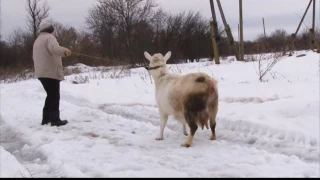 Анонс: "Правда" села-привиди