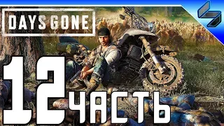 DAYS GONE (Жизнь После) Прохождение ➤ Часть 12 На Русском ➤ PS4 Pro [1080p 60FPS]