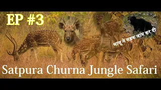 Ep #3| Satpura Tiger Reserve,Churna Jungle Safari | #satpuratigerreserve | Nagpur to Churna | Tiger