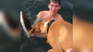 Student Who Caught Shark With His Bare Hands Says He's Getting Death Threats