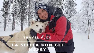 🇸🇪🇸🇪SVEZIA: Slitta con gli husky & ice hotel: le esperienze più belle in Lapponia svedese