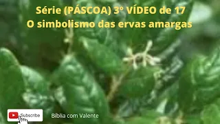 (ESPECIAL PÁSCOA) ERVAS AMARGAS 3° VÍDEO DE 17