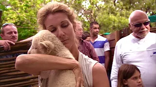 Céline Dion Visits Lion's Park & Safari In Johannesburg South Africa (2008)