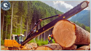 100 Unbelievable Fastest Big Forestry Chainsaw Machines Working At Another Level ▶2