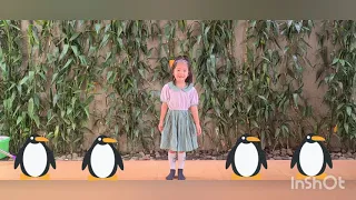 The Penguin Dance | Dance Along | Pinkfong