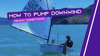 OPTIMIST SAILING - How To Pump Downwind | [Medium Conditions]