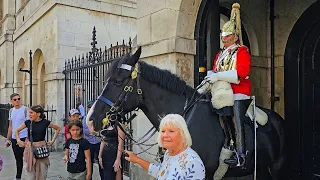 SIX PEOPLE touch the reins - King's Guard has had enough!!! Horse too!