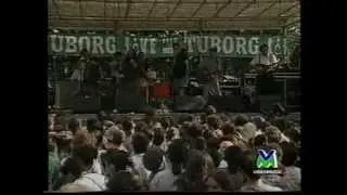 Arezzo Wave 1995 Modena City Ramblers