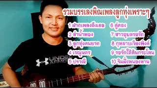 รวมบรรเลงพิณเพลงลูกทุ่งเพราะๆ ฟังยาวๆ EP 1