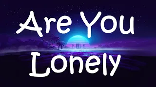 Alan Walker & Steve Aoki - Are You Lonely feat. ISÁK (lyrics)