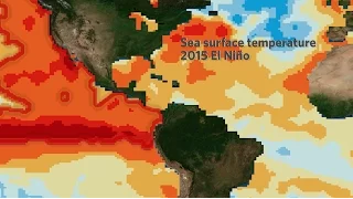 El Niño Impacts: The Good, the Bad and the Ugly | California Academy of Sciences