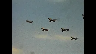 Frecce Tricolori 1981