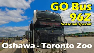 4K  GO Bus Route 96Z Ride From Oshawa GO To Toronto Zoo (Duration 38min)