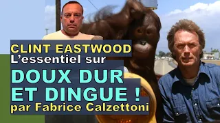 L'essentiel sur DOUX DUR ET DINGUE avec Clint Eastwood par Fabrice Calzettoni