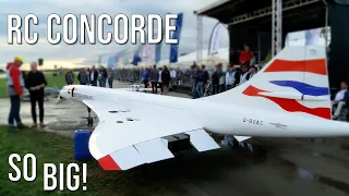 Just Huge! Largest RC Concorde Jet Plane Flying Fantastic With Powerful Turbine Engine