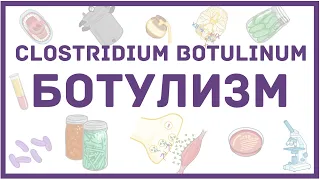 Ботулизм - симптомы, диагностика, лечение, микробиология, ботулотоксин