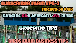 Subscriber birds farm EPS-2/finches-50 pair/budgies and African Love Birds breeding cage setup/தமிழ்