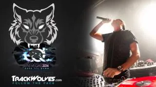 DJ Snake - Live @ Electric Daisy Carnival (Vegas) - 21.06.2014.mp4