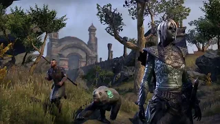 Игра за стража Warden в дополнение Morrowind игры The Elder Scrolls Online!