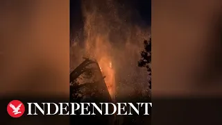 200-year-old pine tree burns after lightning strike in California
