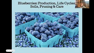 Blueberries for the Home Garden and Small Farm