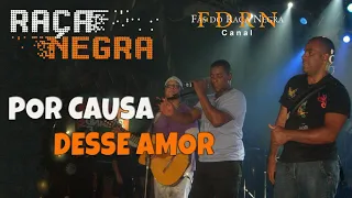 Raça Negra - Por Causa Desse Amor