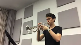 "One Summer Day" from 'Spirited Away' - Trumpet Cover