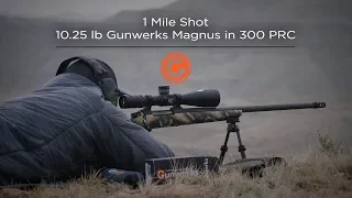 Pro Build | 1 Mile Shot | 10.25 lb. Gunwerks Magnus in 300 PRC