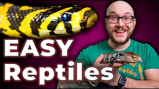 The 5 EASIEST Reptiles ANYONE Can Care For!