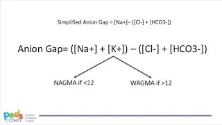 Approach to Acid Base Disturbance