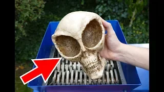 ALIEN SKULL SHREDDING! AMAZING VIDEO!