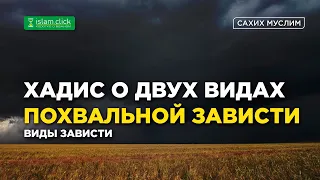 Хадис о двух видах похвальной зависти. Виды зависти | Абу Яхья Крымский