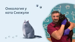 Онкология у кота Снежули