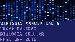 Seminario 5,  Biología Celular Tomás Falzone