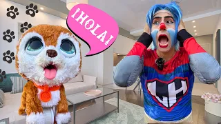 MI PERRO HABLA 🐶 MI NUEVA MASCOTA  | YOMI LUCHAHEROE