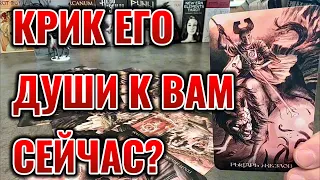 Крик его души к Вам сейчас? Что он задумал в отношении Вас? Таро сегодня