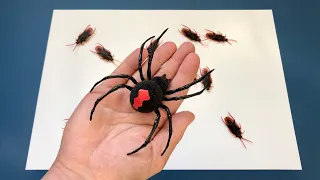 Zuru Robo Alive.Robotic Spider and Cockroach.