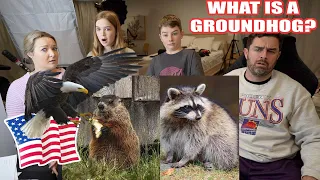 New Zealand Family React to 8 Wild Animals I Only Encountered After Moving to America | WOW