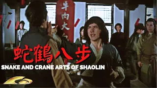 Jackie Chan's "Snake and Crane Arts of Shaolin" (1978) **EXCLUSIVE**