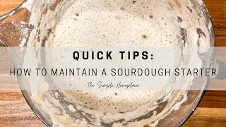 How to Feed Sourdough Starter