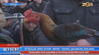 Xoʻrozlar jangi uchun “arena” tashkil qilganlar ushlandi