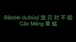 宝贝对不起 | Baobei Duibuqi Pinyin