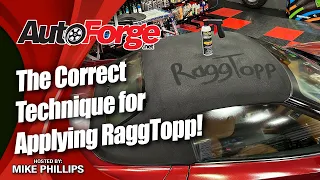 How To Clean and Protect a Canvas Convertible Top with RaggTopp!